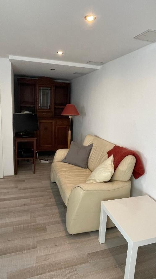 Appartment Basel Saint-Louis (Haut-Rhin) Exterior foto